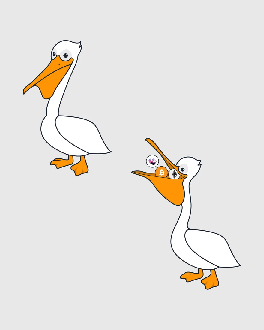 Two cartoon pelicans with orange beaks; the second holds crypto coins in its pouch.